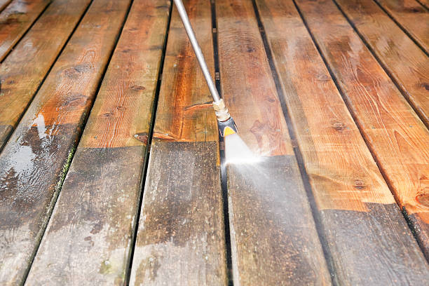 Animal Enclosure Cleaning in Kentfield, CA